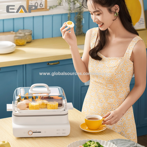 https://p.globalsources.com/IMAGES/PDT/B5699999720/electric-Food-steamer.png