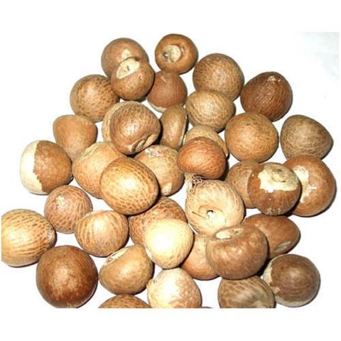 Betel nut price today discount