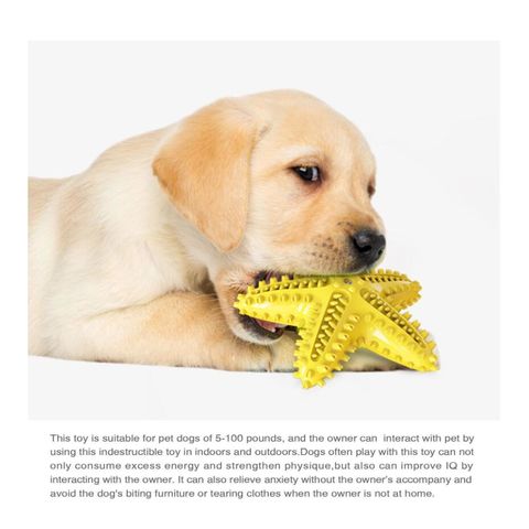 https://p.globalsources.com/IMAGES/PDT/B5701903158/dog-toys.jpg