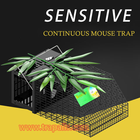 https://p.globalsources.com/IMAGES/PDT/B5703967196/Mouse-trap.jpg