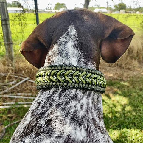 SET Custom Paracord Dog Collar and Leash deals - Sunflowers 1