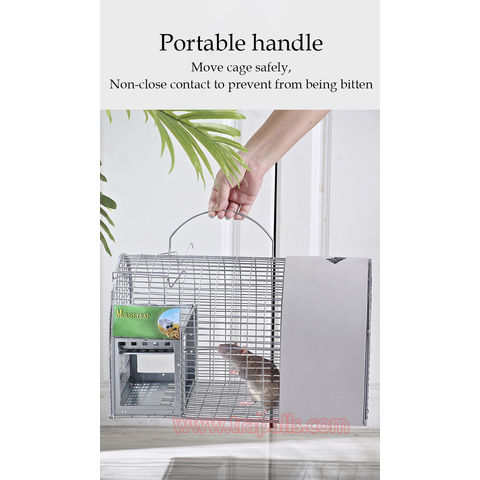 Reusable No Poison Mouse Trap Cage for Pest Control - China Mouse Cage and  Rat Cage price