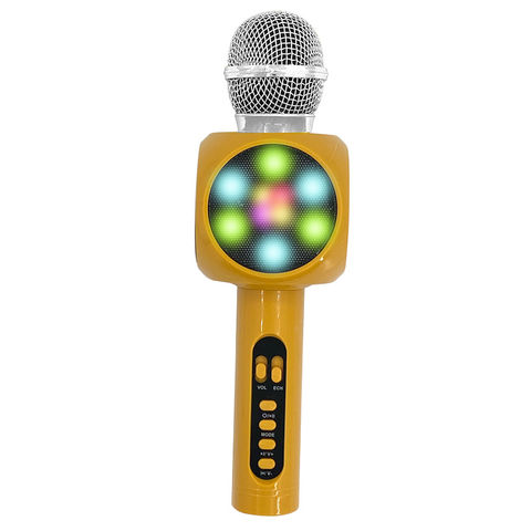 Alto-falante com Microfone Função Karaokê com Mudança de Voz, Rádio FM, Cartão TF, Alto-falante Bluetooth Portátil com Microfone