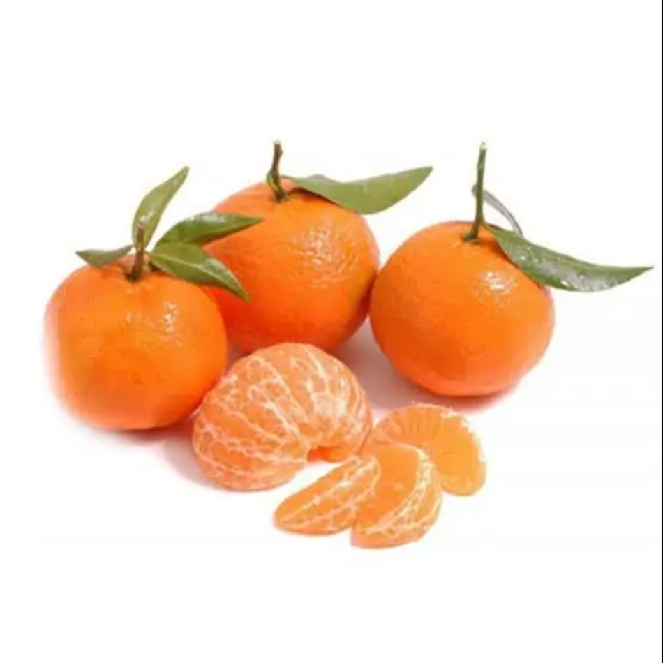 Buy Wholesale United States Fresh Oranges/valencia And Navel Fresh
