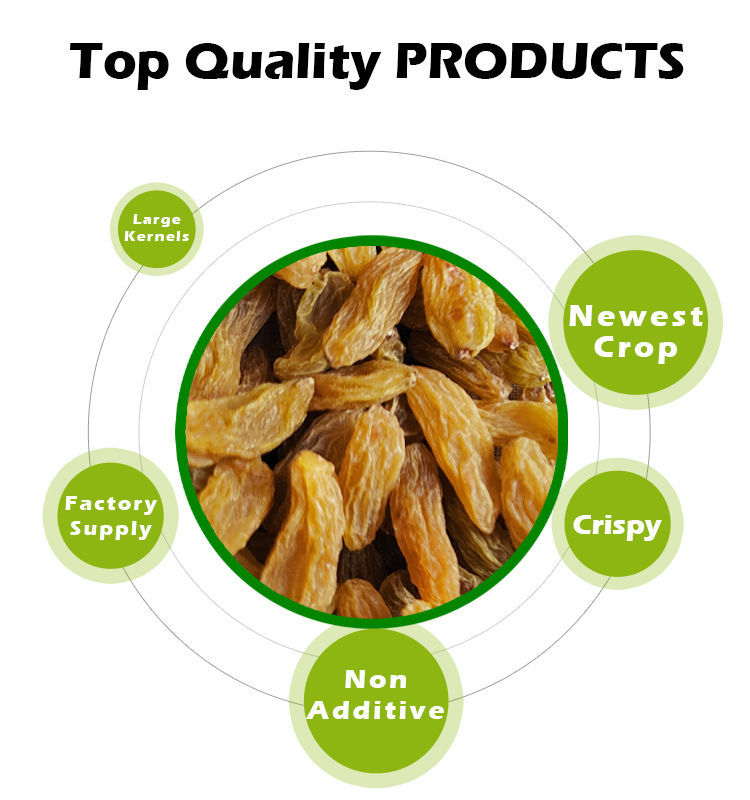 China Raisin Buy Wholesale China Seedless Raisins In Bulk Factory Supply Dried ...