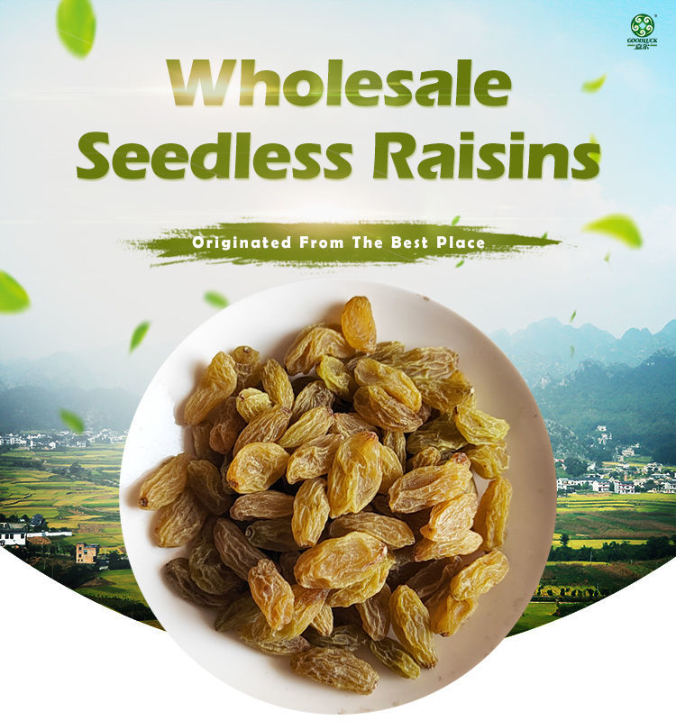 China Raisin Buy Wholesale China Seedless Raisins In Bulk Factory Supply Dried ...