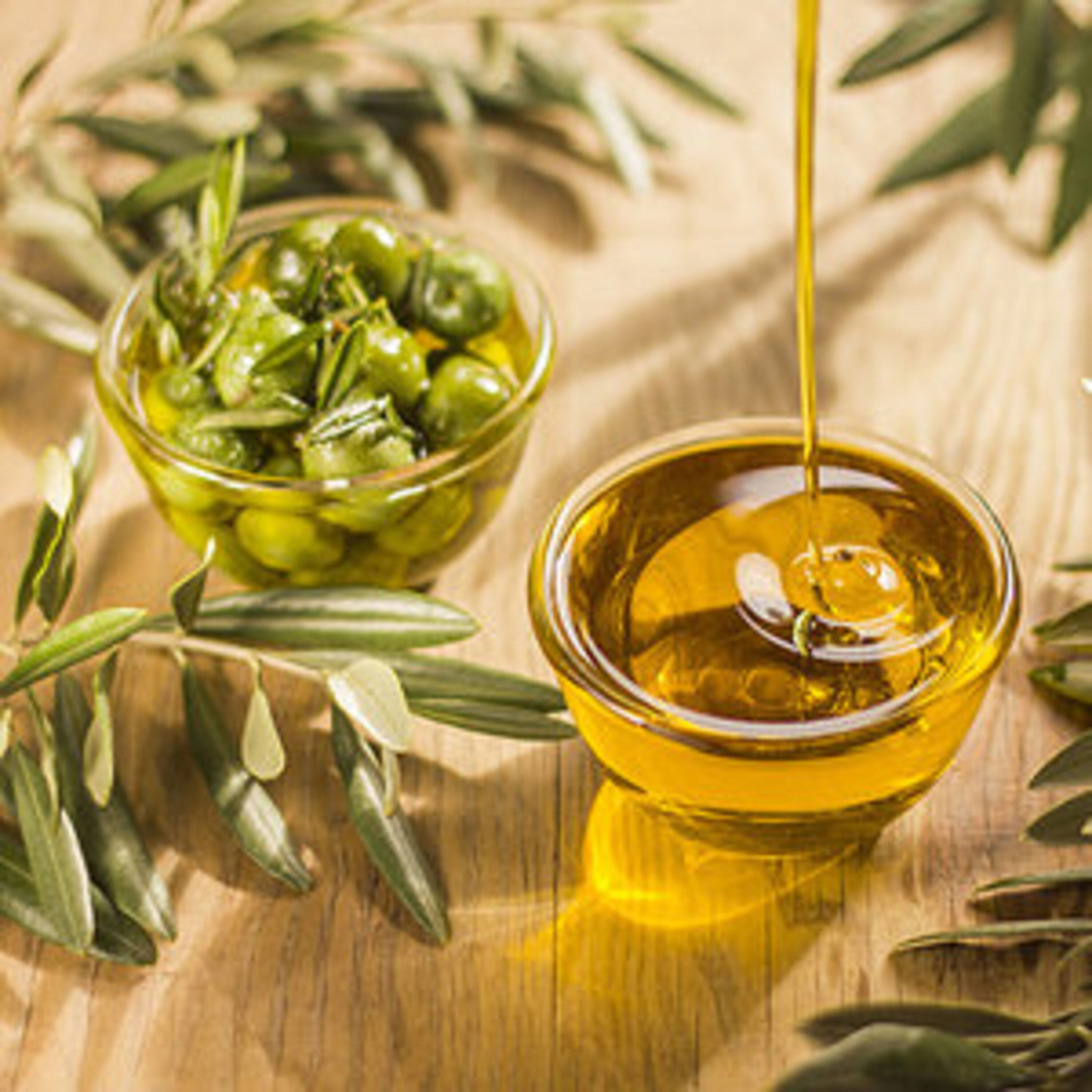 Buy Wholesale United Kingdom Buy Top Quality Lampant Olive Oil Cold