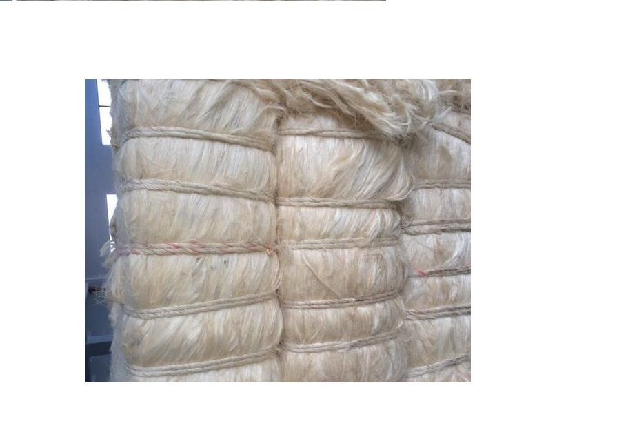 Sisal Fiber Ug Grade Cream White