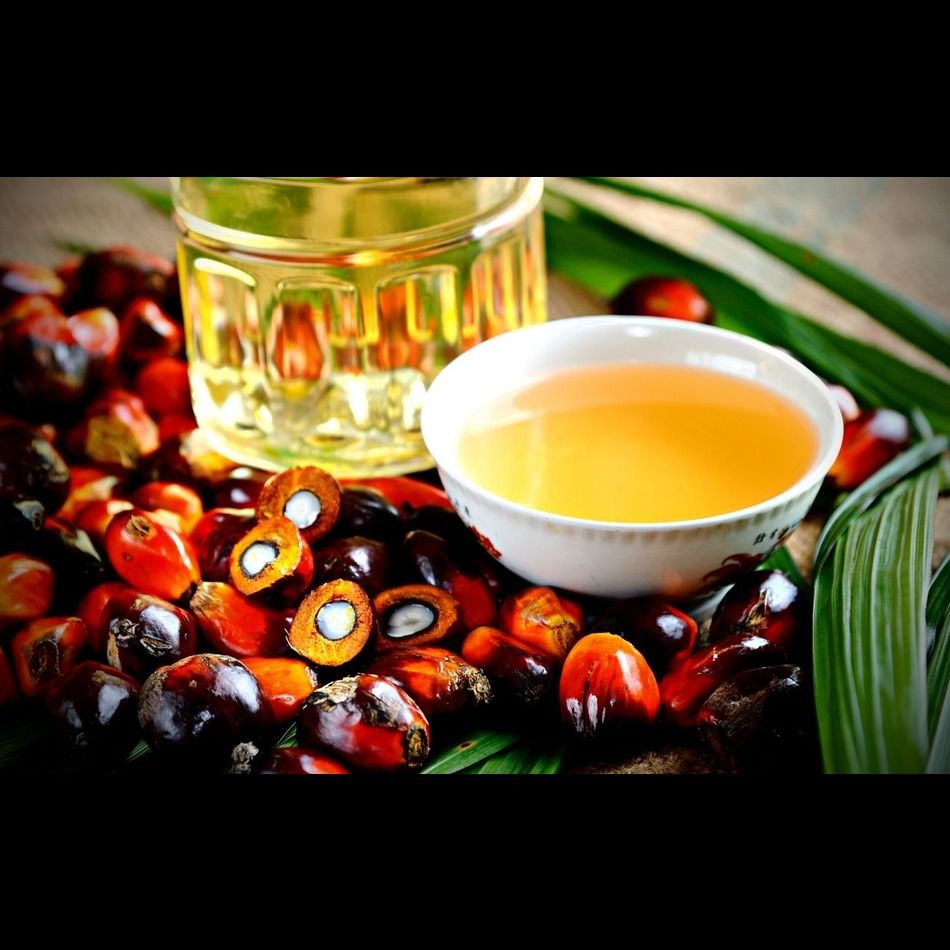 Buy Wholesale United States Rbd Palm Oil & Palm Oil, Crude Oil, Oil