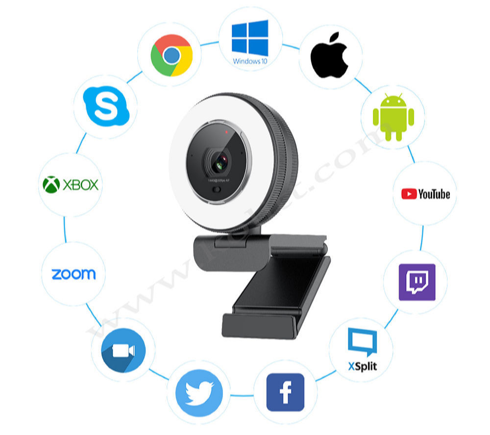 Angetube 2K Streaming Webcam with Ring Light with Remote