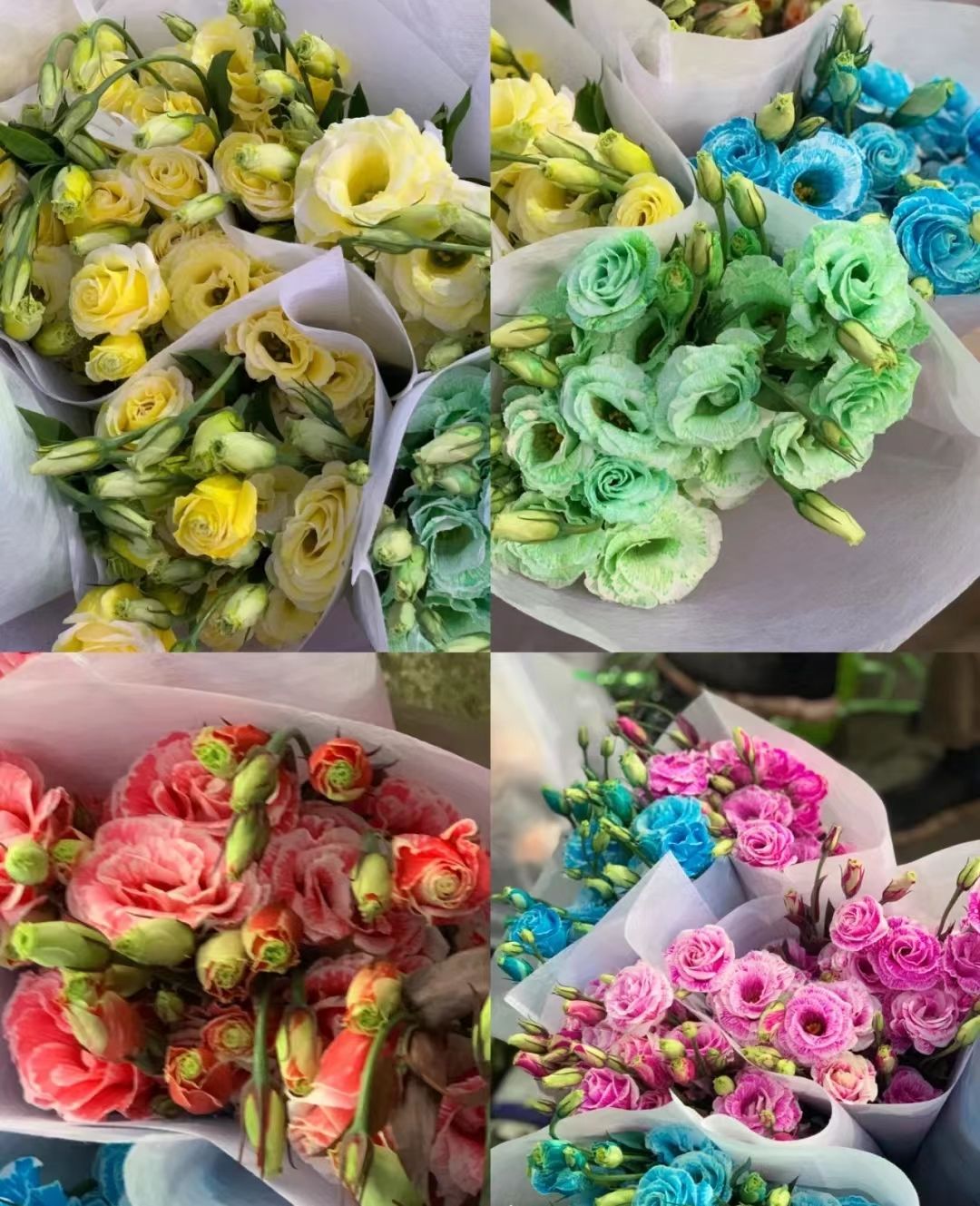 Buy Wholesale China Wholesale Lovely Fresh Cut Flowers Dye Blue Eustoma