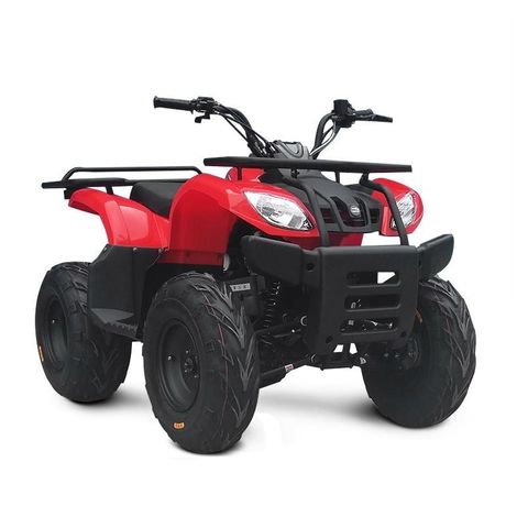 Gasoline Child Motorcycle Scenic Off-Road Go-Kart 200CC All-Terrain UTV  Adult ATV Snowmobile Moto