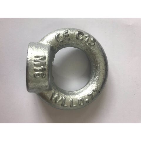 DIN 580 Stainless Steel Lifting Eye Bolts