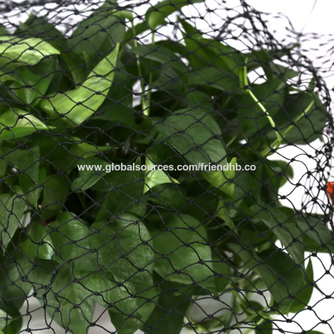 With Uv Plastic Trapping Catching Capture For Catching Birds Anti Bird Nets  Agricultural Bird Netting Insect Proof Net Garden Mesh - Buy China  Wholesale Anti-bird Netting $2.5
