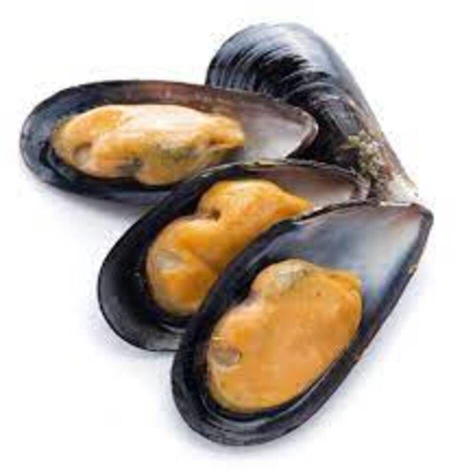 Buy Wholesale United States Direct Supply Cheap Price Mussel/frozen Mussel & Mussel, Frozen