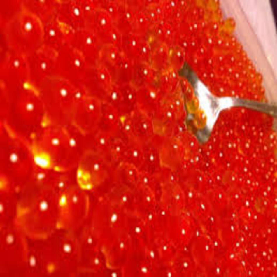 Buy Wholesale United States Frozen Salmon Roe & Salmon Roe, Conch