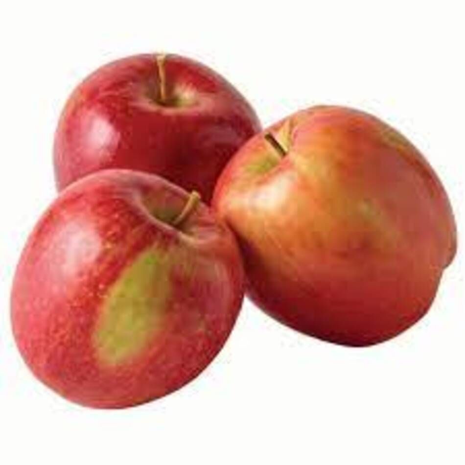 Buy Wholesale United States Hot Selling Organic Fruits Bulk Fresh Apples &  Fresh Apple at USD 200