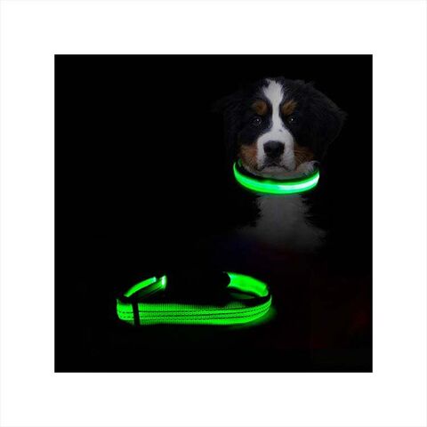 Pet Collar with Bow Tie Luxury Designer Dog Cat Collars - China Dog Collar  and LED Collar price