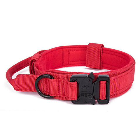 Ensemble collier et laisse pour chien avec boucle en métal pour chiens de  taille moyenne et robuste avec poignée réglable en nylon collier de , kaki  L