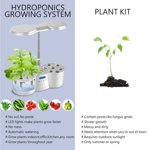 Indicateur d'eau Hydroponique 4 Pièces Indicateur D'humidité des