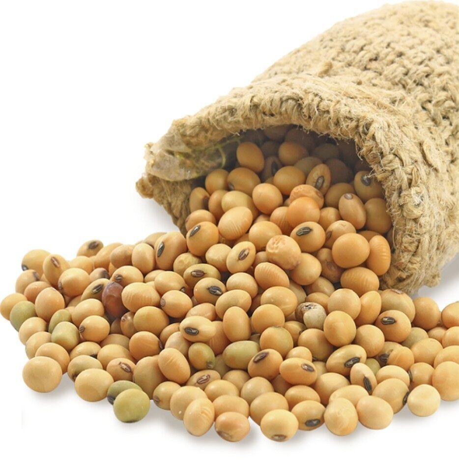 Buy Wholesale South Africa Non-gmo Soya Beans For Sale Yellow Soybeans ...