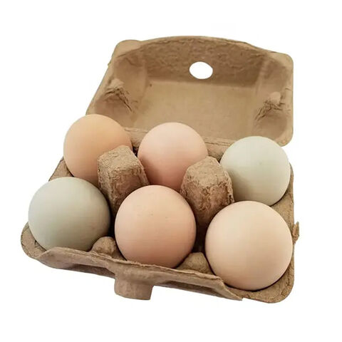 20 PCS 12 Count Egg Cartons Cheap Bulk Empty Cardboard Egg Cartons White  Pulp Paper Egg Cartons for Chicken Egg, Fresh Egg and Sale, with Stickers