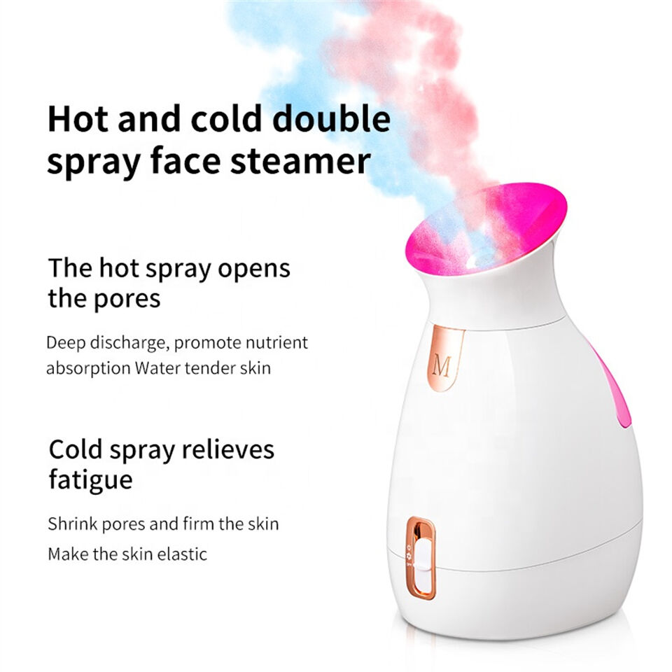 Desk Nano Face Instrument Professional Portable Hot Mist Ionic Face ...