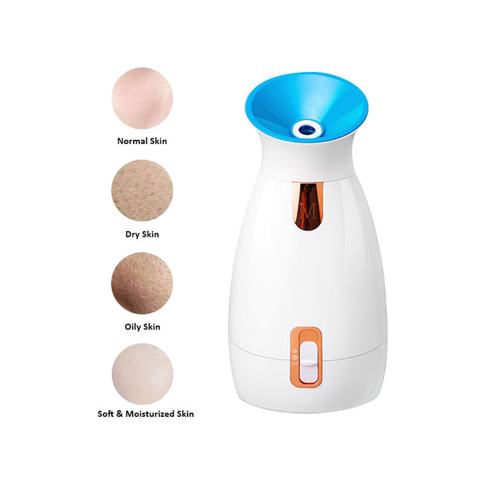 Desk Nano Face Instrument Professional Portable Hot Mist Ionic Face ...