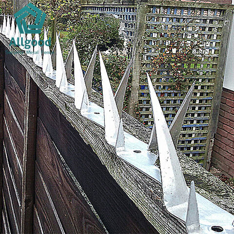 Espigas de cuchilla de acero anti escalada, picos de cercado de pared, fabricante