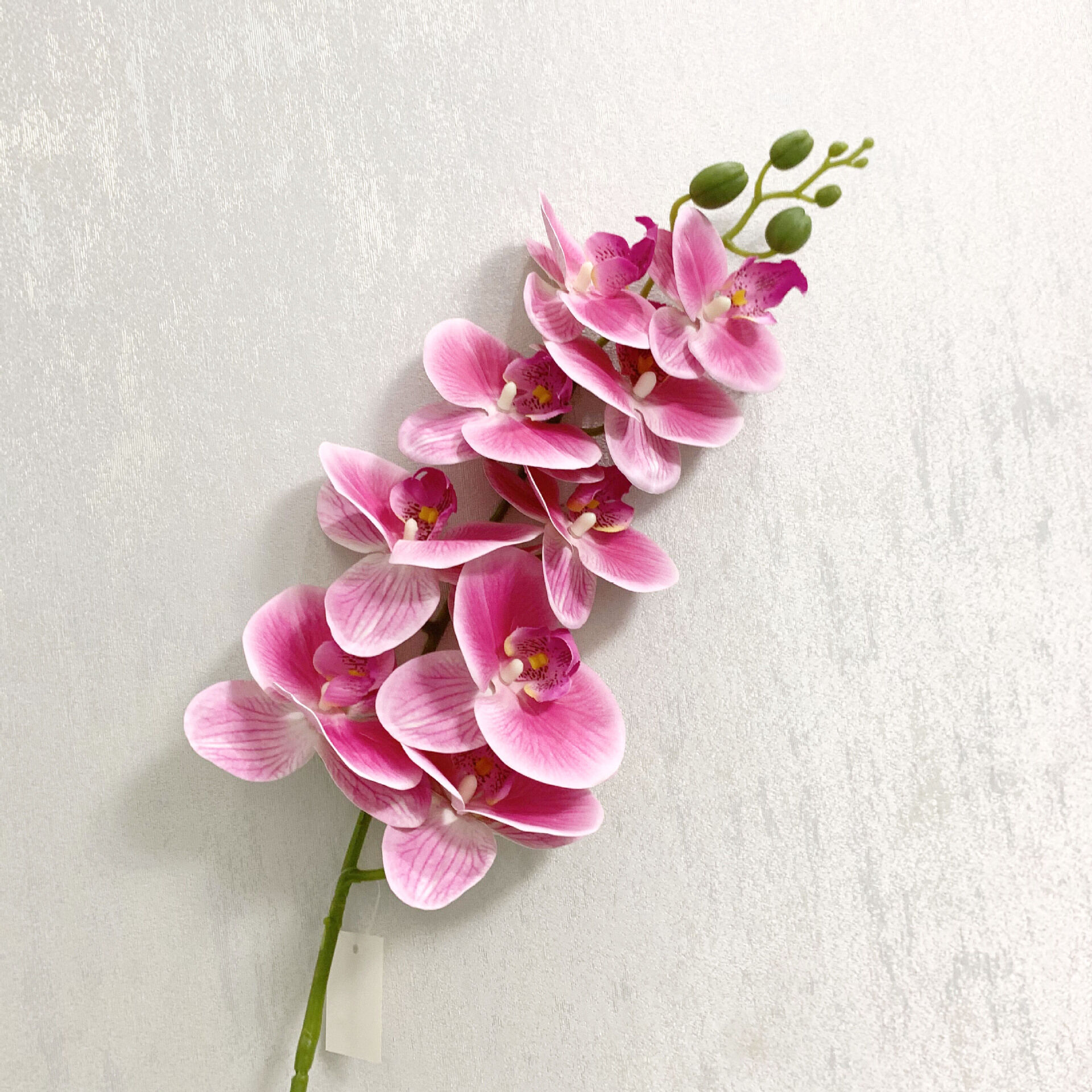 Secret Wholesale Flower Sources In Vitoria Gasteiz Revealed - 4vk9hlk