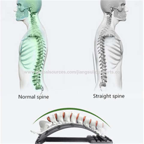 Nouvelle conception multicolore et multifonctionnelle pour l'entraînement musculaire à domicile, civière dorsale en PP - Idéal pour les distributeurs d'équipements de fitness