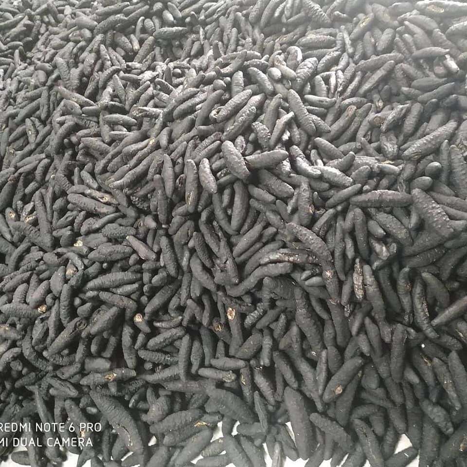 Buy Wholesale South Africa Cheap Dried Sea Cucumber / Supplier Of Dried