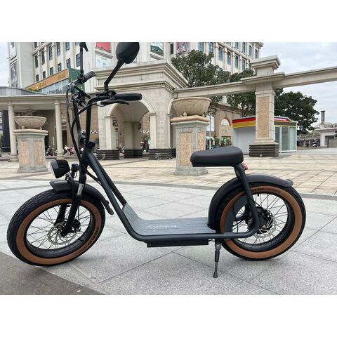 Bike-bicicleta eléctrica plegable para adulto, bici con batería de litio de  1000w, 48V, 15ah, 4