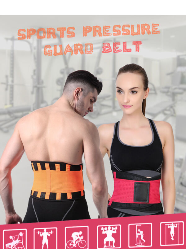 Lumbar Waist Support Belt 