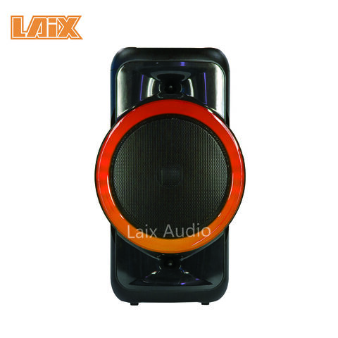 De 12 pulgadas portátil dual Karaoke profesional 100W el altavoz  inalámbrico Bluetooth - China Altavoz altavoz Bluetooth y Karaoke precio