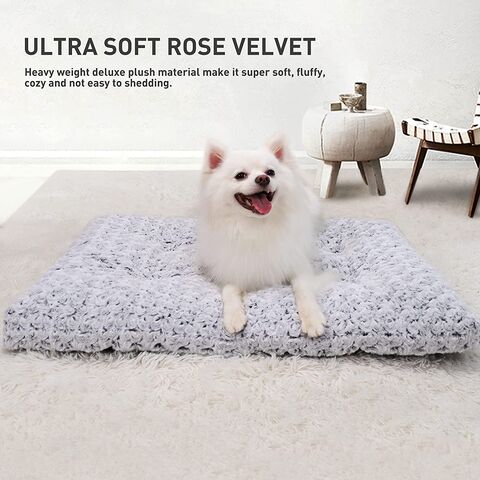 https://p.globalsources.com/IMAGES/PDT/B5743244167/Dog-Beds.jpg