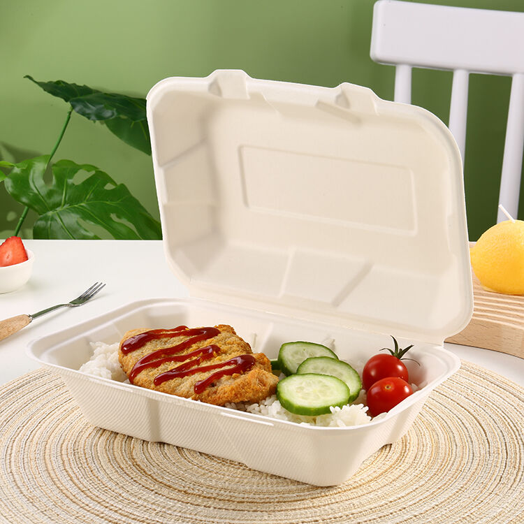 Buy Wholesale China Eco- Friendly Disposable Takeaway Takeout Fast Food ...