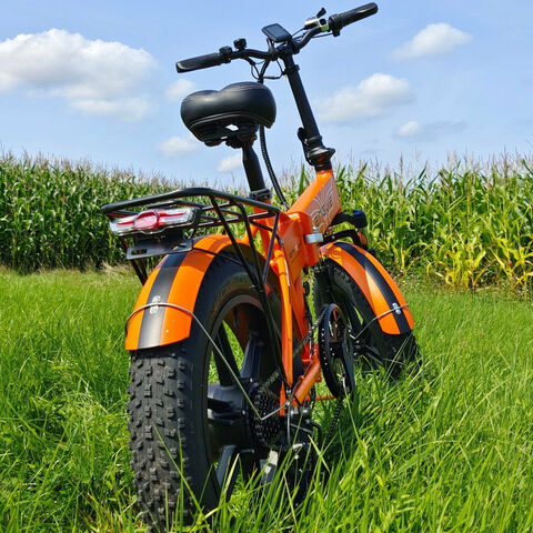 Vélo électrique pliant, pneus larges 20 pouces, 750W, VTT électrique pour le B2B