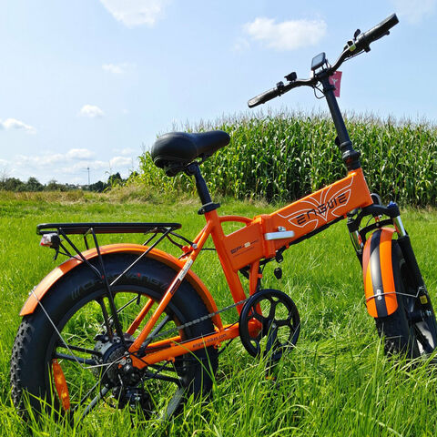 Vélo électrique pliant, pneus larges 20 pouces, 750W, VTT électrique pour le B2B