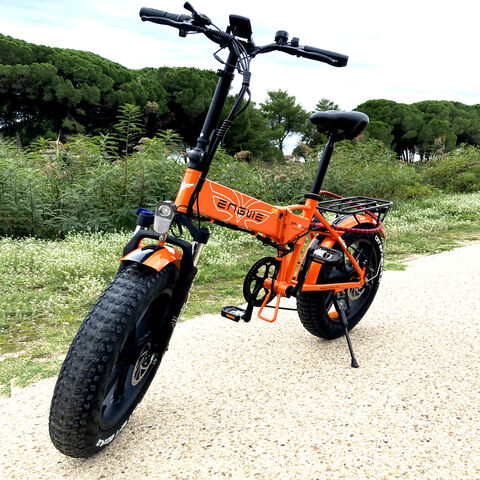 Vélo électrique pliant, pneus larges 20 pouces, 750W, VTT électrique pour le B2B