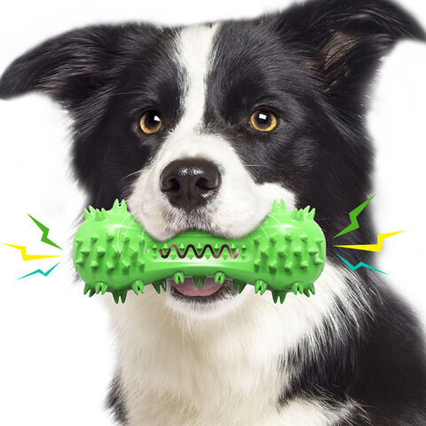 Dog toothbrush on sale ball