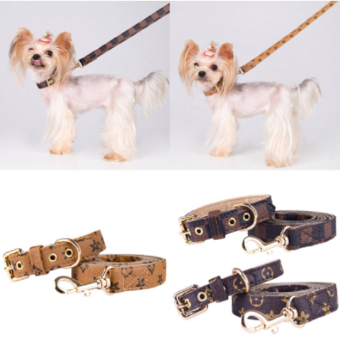 Luxury Designer Dog Collar And Leash