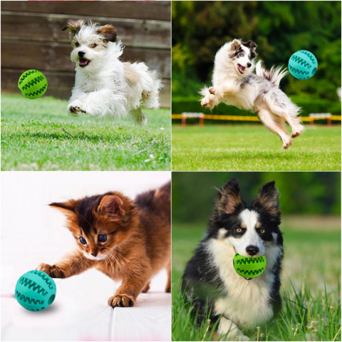 Dropship Pet Dog Toy Interactive Rubber Balls For Small Large Dogs Puppy  Cat Chewing Toys Pet Tooth Cleaning Indestructible Dog Food Ball to Sell  Online at a Lower Price