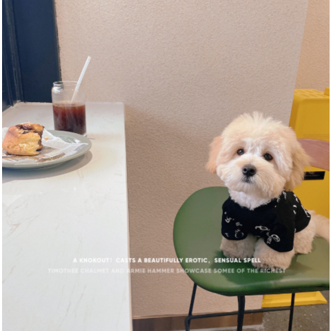 Louis Vuitton dog tracksuit,pet clothes - China Louis Vuitton dog tracksuit,pet  clothes Supplier,Factory - Guangzhou… in 2023