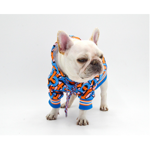 Design Fashion Dog Clothes Winter Pet Knitwear French Bulldog