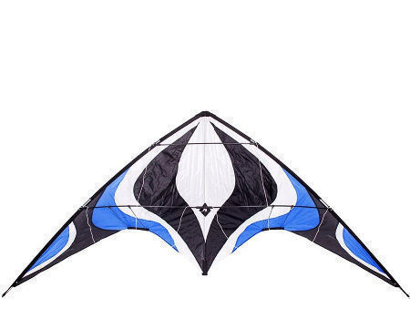 Kites Buy Wholesale China Professional And High Quality Delta Colorful Dual ...