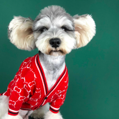 New Custom Dog Sweater Luxury Designer Dog Clothes French Bulldog