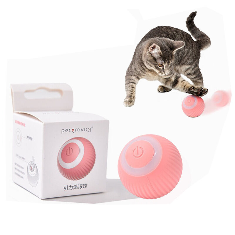 https://p.globalsources.com/IMAGES/PDT/B5748629246/cat-toys.jpg