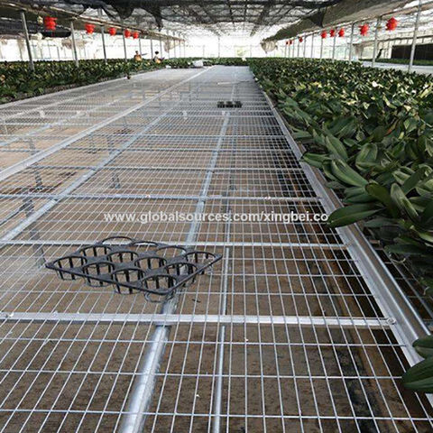 Precio de fábrica, hoja de malla de alambre de semillero de invernadero, paneles de malla de alambre de acero para invernadero, paneles de malla de alambre para plantas en macetas