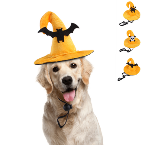 Ensemble chapeau et écharpe pour Halloween, motif crane de chat